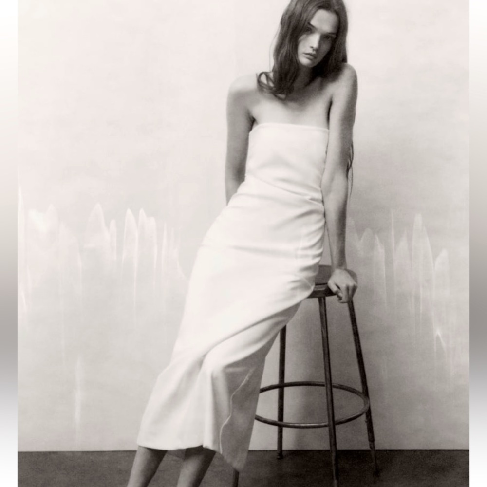 New with Tags Zara Dress